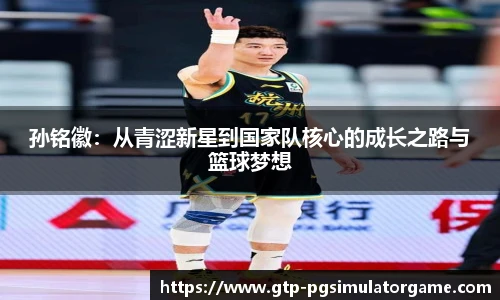 PG电子模拟器